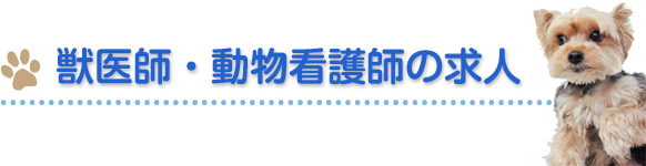 獣医師・動物看護師の求人